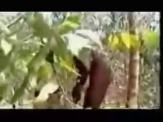 Cho một blowjob đến tribesman vì 8 bảng của bananas