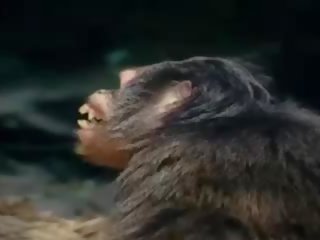 Tarzan-x shame na jane - část 1, volný x jmenovitý video 88